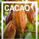 Cacao, super alimento - Susarón