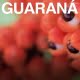 Guaraná ideal para quemar grasas
