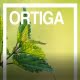 La ortiga. poder para tu pelo con Susarón