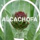 Alchofa e infusión Colesterol de Susarón