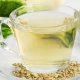 Salud digestiva con Susarón