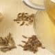 infusiones de anís verde Susarón