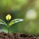 El impacto ambiental dieta SUSARÓN